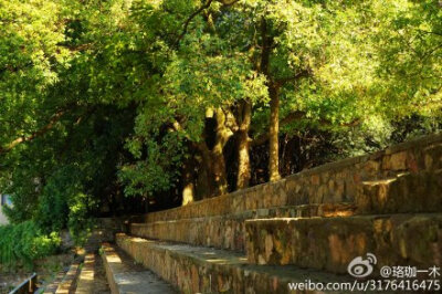 芬芳歇去，夏木荫荫 @武汉大学 @武汉大学研究生会