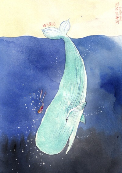 小刺猬1 的插画 whale