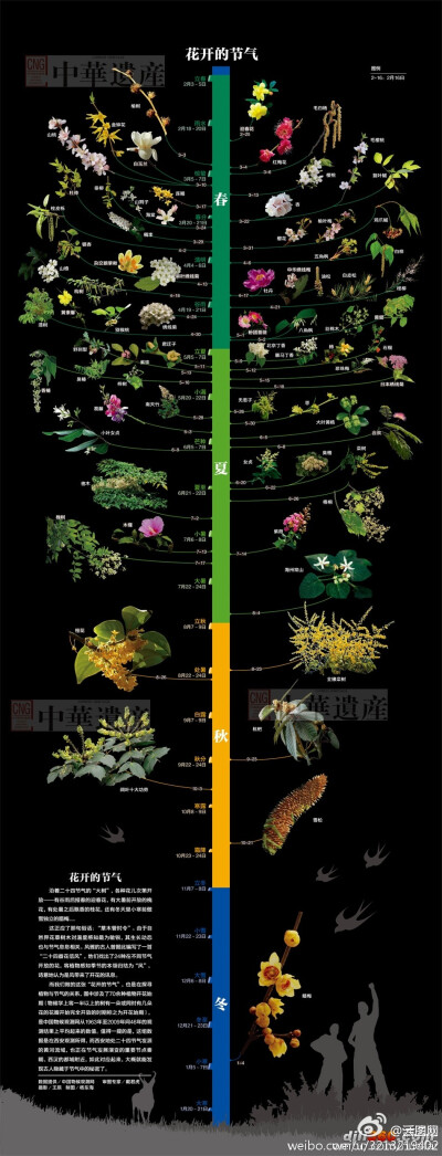 【图解各种植物一年中的开花时间】又快到清明节了，清明一过夏天的感觉很快就会到来。每个季节开什么花你知道吗？这是一张非常直观的纪录各种花开时间的信息图