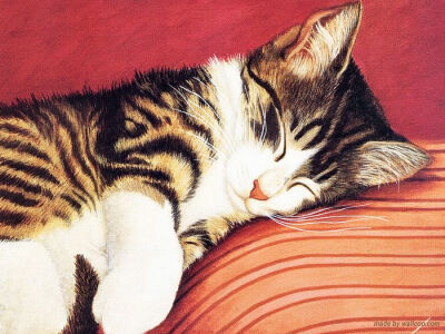 趣味猫咪绘画壁纸 Lowell Herrero作品 - 手绘猫咪壁纸Desktop wallpaper of Cat Art Paintings11