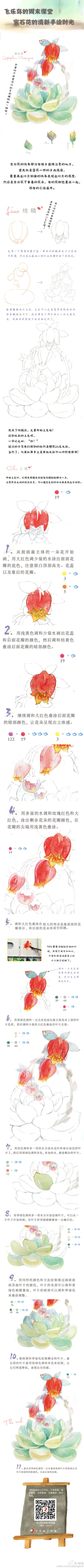 永不凋零”的莲花—宝石花！