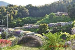 公園種別 自然公園 &amp;gt; 国定公園 &amp;gt; 北九州国定公園