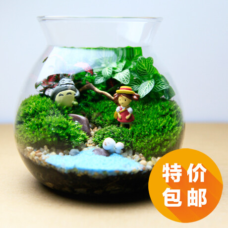 生态图书馆 创意礼品 苔藓瓶 微景观 生态瓶 宫崎骏龙猫