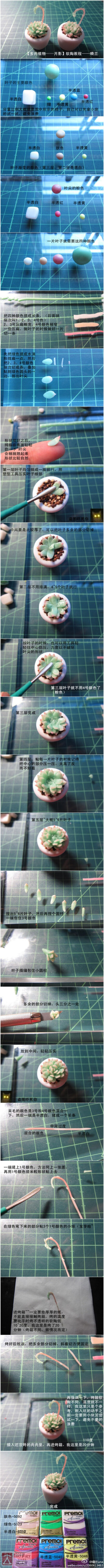 “多肉植物”软陶作品