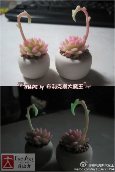 “多肉植物”软陶作品