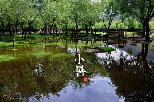 中国摄影师青简：二十四节气