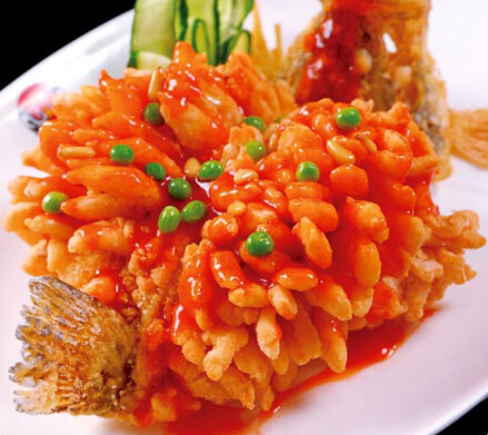 第一集 自然的馈赠 【松鼠桂鱼】