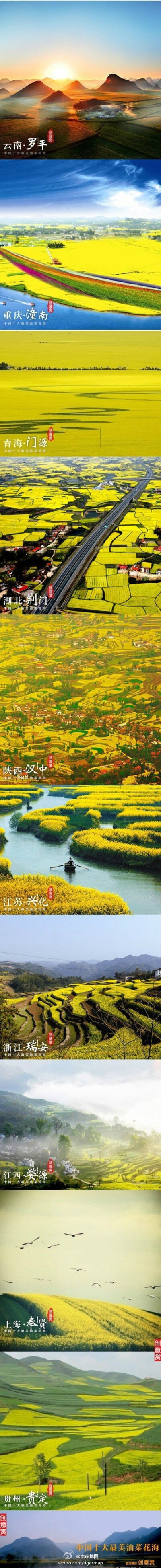 #旅行地图#中国十大最美油菜花海，你去过哪个呢？