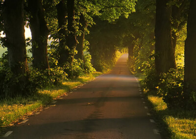 Photograph Road to the sea by ** REgiNA ** on 500px