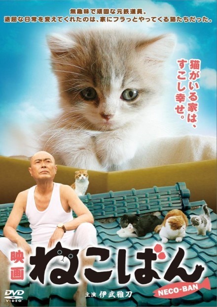 【日本治愈系宠物片《小猫跳出来3D》】这部影片讲述了一位退休的电车司机（伊武雅刀饰演）和一群流浪猫之间的故事，在日本各大影评网站都有极高的好评度！不说别的，片中那群天生丽质的小可爱们就保管让你招架不住！治愈….萌宠…http://www.56.com/u29/v_NjU1MzU3MzA.html/1030_sonicluo3.html