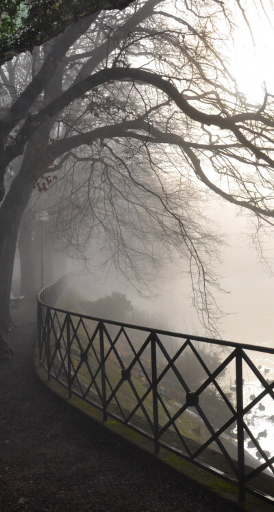 Foggy River iPhone 5s wallpaper