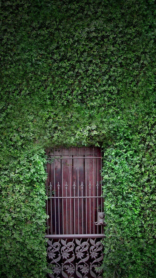 Green wall iPhone 5s wallpaper