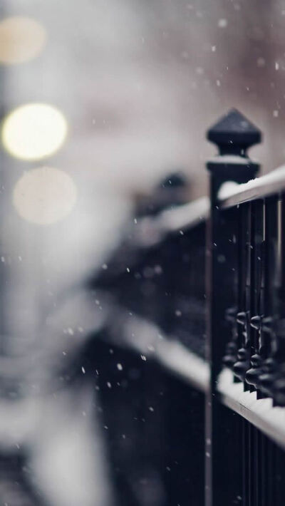 Snowy Iron Fence iPhone 5s wallpaper