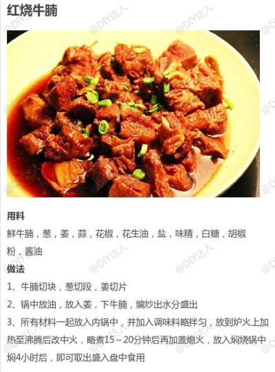 【牛腩的9款不同做法合集】多样的吃法让你吃出牛肉的美味，无肉不欢啊~ | photo by DIY达人