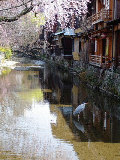 【日本】祗園（京都）