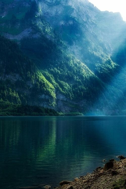 ︶＂目酣神醉、