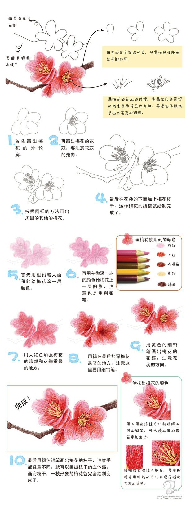 飞乐鸟——花之绘，梅花又名“五福花”，她象征着快乐、幸福、…_来自飞乐鸟的图片分享-堆糖网