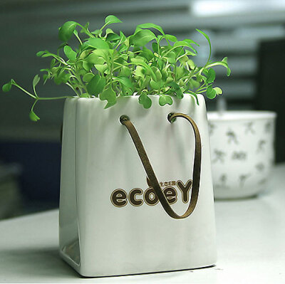 生态园 防辐射 全新款 桌面盆栽 陶瓷纸袋造型盆栽 混色 礼物