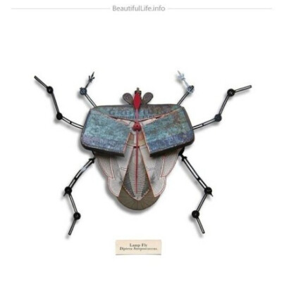 变形记。 | 旧物改造的昆虫系列