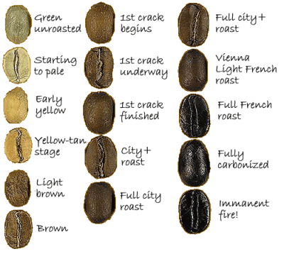 What are the Types of coffee roast? When I first started the last category (imminent fire) saw my trash bin quite frequently.