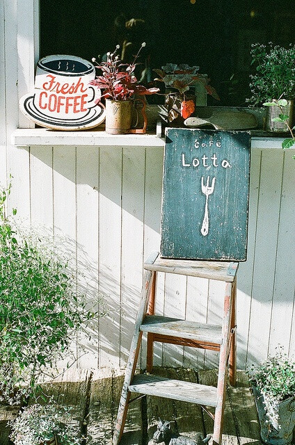 Cafe Lotta