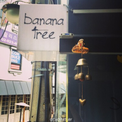 长草的Banana Tree@Instagram相机 @韩国行 我在:|韩国Seoul