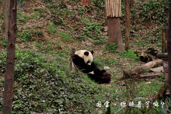 对你太多爱慕，也只能站在远处给你祝福