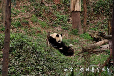 对你太多爱慕，也只能站在远处给你祝福