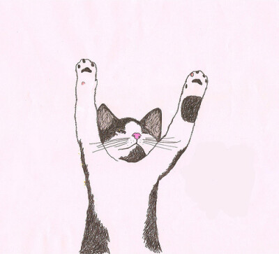 肚子痛、cat、猫、鹿、精灵、萌、萌图、萌物、动物宠物