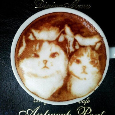 coffee cat art