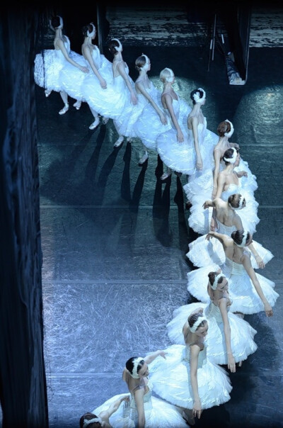 Perfect swans.