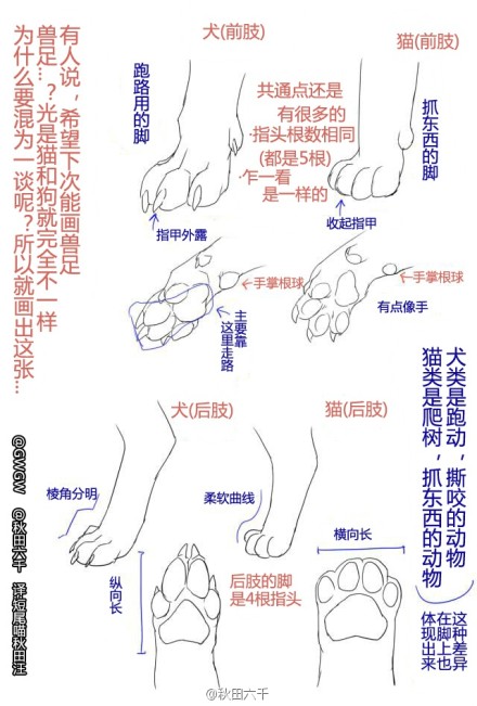 兽爪打版图图片