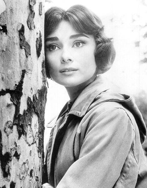 奥黛丽·赫本（Audrey Hepburn）白桦林的故事