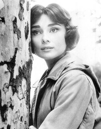 奥黛丽·赫本（Audrey Hepburn）白桦林的故事