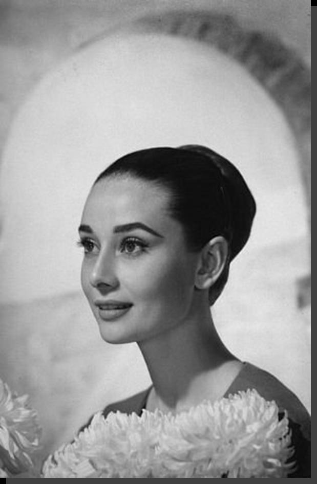 奥黛丽·赫本（Audrey Hepburn）美丽的天鹅