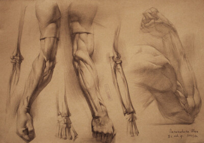 human anatomy 6 by i...