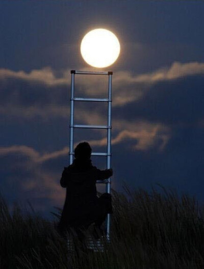 人生有时候需要勇敢一下，勇敢去爱，勇敢去恨，然后，勇敢忘记，勇敢向前。