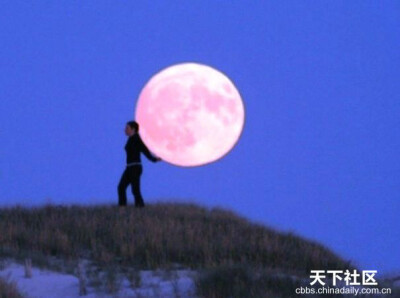 人生有时候需要勇敢一下，勇敢去爱，勇敢去恨，然后，勇敢忘记，勇敢向前。