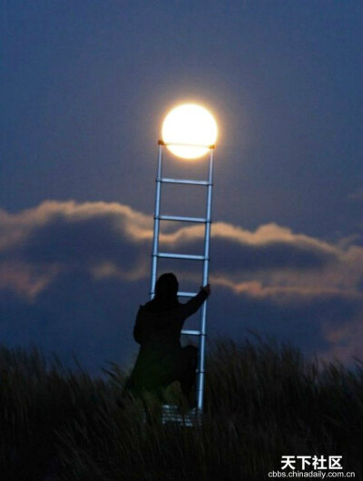 人生有时候需要勇敢一下，勇敢去爱，勇敢去恨，然后，勇敢忘记，勇敢向前。