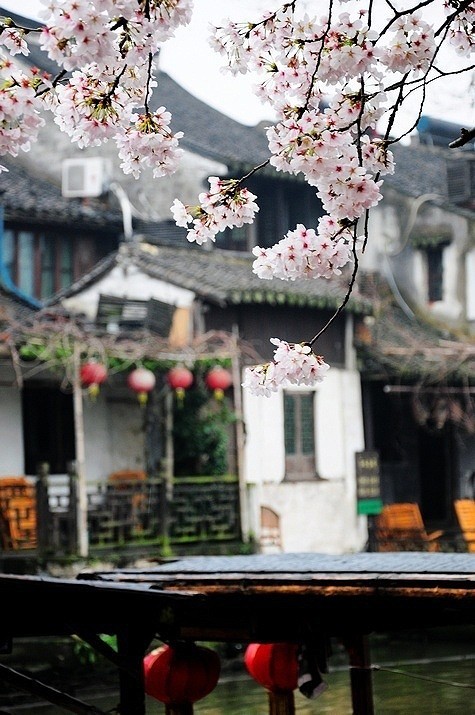 【美丽的中国】春风不解江南雨，笑看雨巷寻客尝。