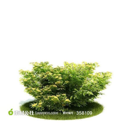 植物3D模型绿色植物空气净化