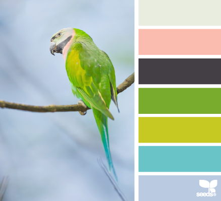 feathered palette