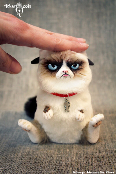 Grumpy Cat