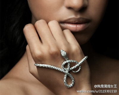 还在炫耀关节戒指？！那你又跟不上队伍了，可优雅可简约又独特够时髦的手掌手镯（handlet)成为近期明星、达人们出街抢镜的必备“硬货”，它颠覆了我们对传统首饰的概念，将个性“掌握”在你的手中！