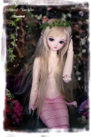 Still Love Dolls ①