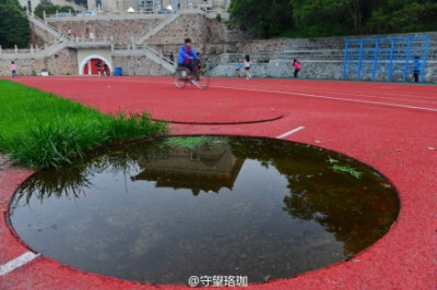 【守望珞珈校园风景摄影】四月的珞珈山，被几场大雨洗刷得格外清新。宁静中生机勃发，平淡中欣欣向荣。（守望珞珈摄于2014年4月）@武汉大学 @武汉大学研究生会 @湖北旅游 @珞珈福哥 @热头李勤