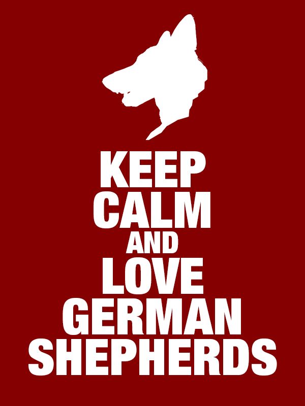 Keep Calm and Love German Shepherds! Yes, yes, yes, always!!!!!