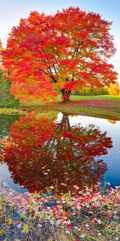 Twin Lakes State Park, Upper Michigan