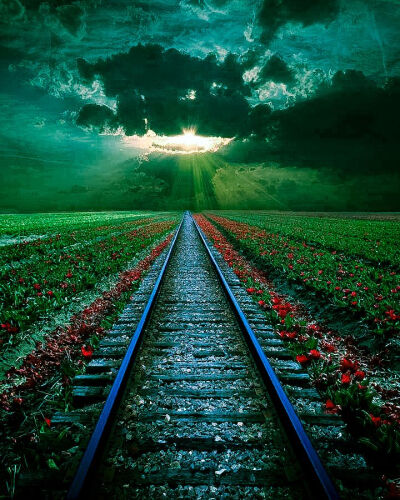 Train rails at sunset, Romania