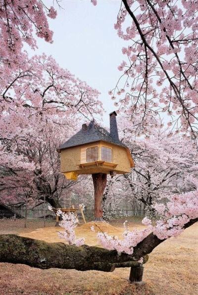 Teahouse Tetsu Japan